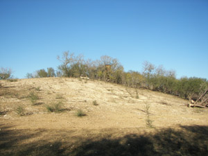 CHEATHAM CEMETERY