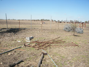 NICHOLS CEMETERY