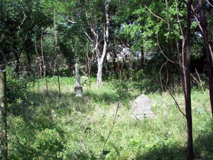 Clearly in need of a cleaning, the Byrd Owen-Payne Cemetery in old Stringtown is seen just before the arrival of May 2008 HCHC maintenance.