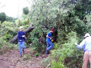 Undergrowth (and overgrowth) was dense at Cocke Cemetery in the summer of 2007 when Eagle Scout candidate Brad Weber (far left) and his crew took oin the site's restoration.